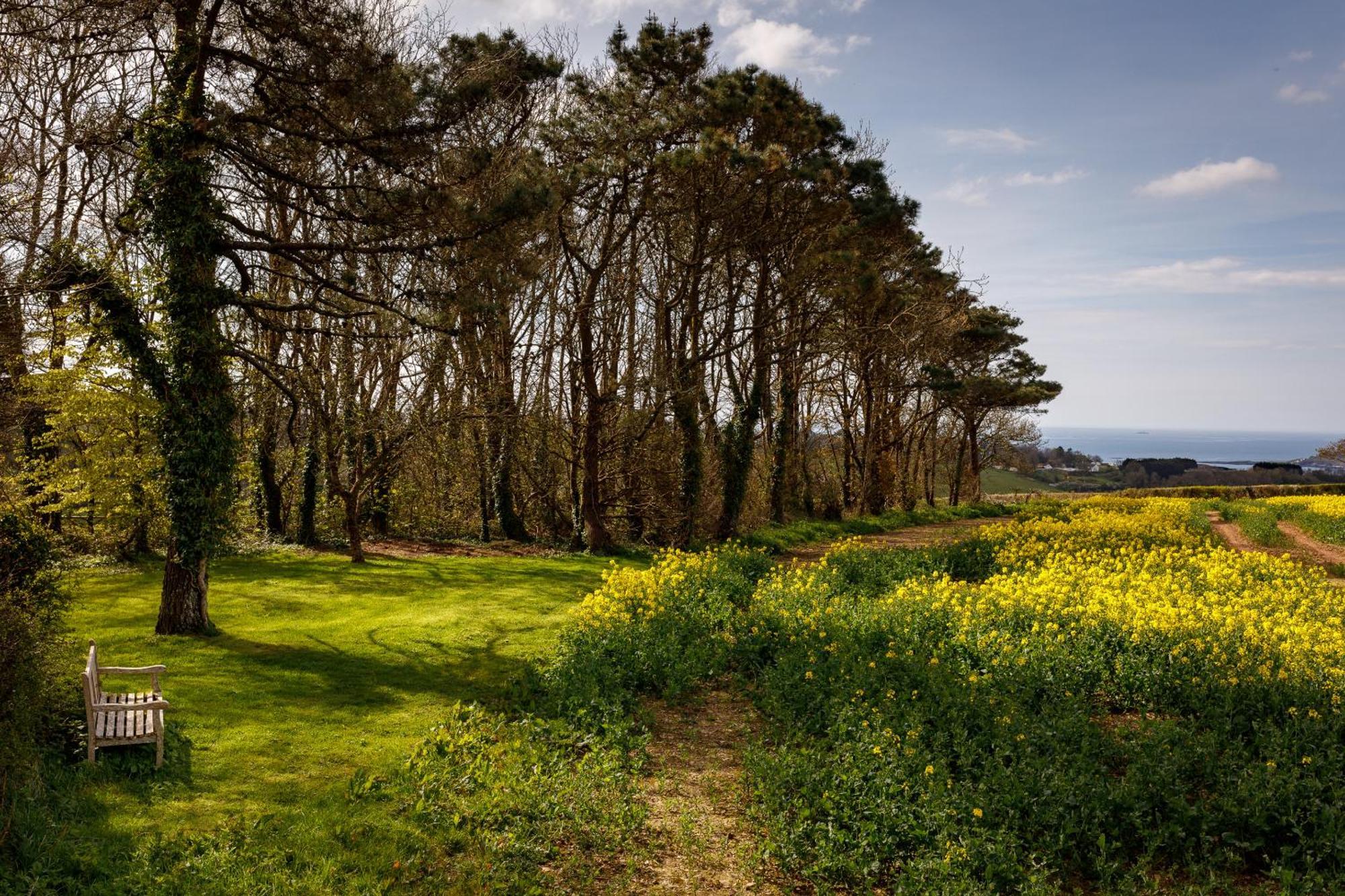 Bucklawren Farm Bed & Breakfast Looe Eksteriør bilde